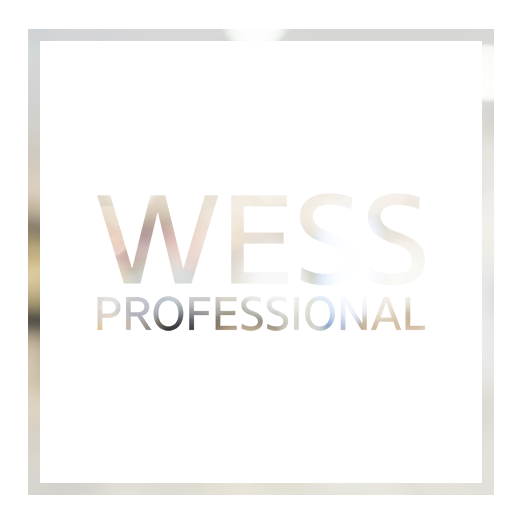 wess-logo-blurred